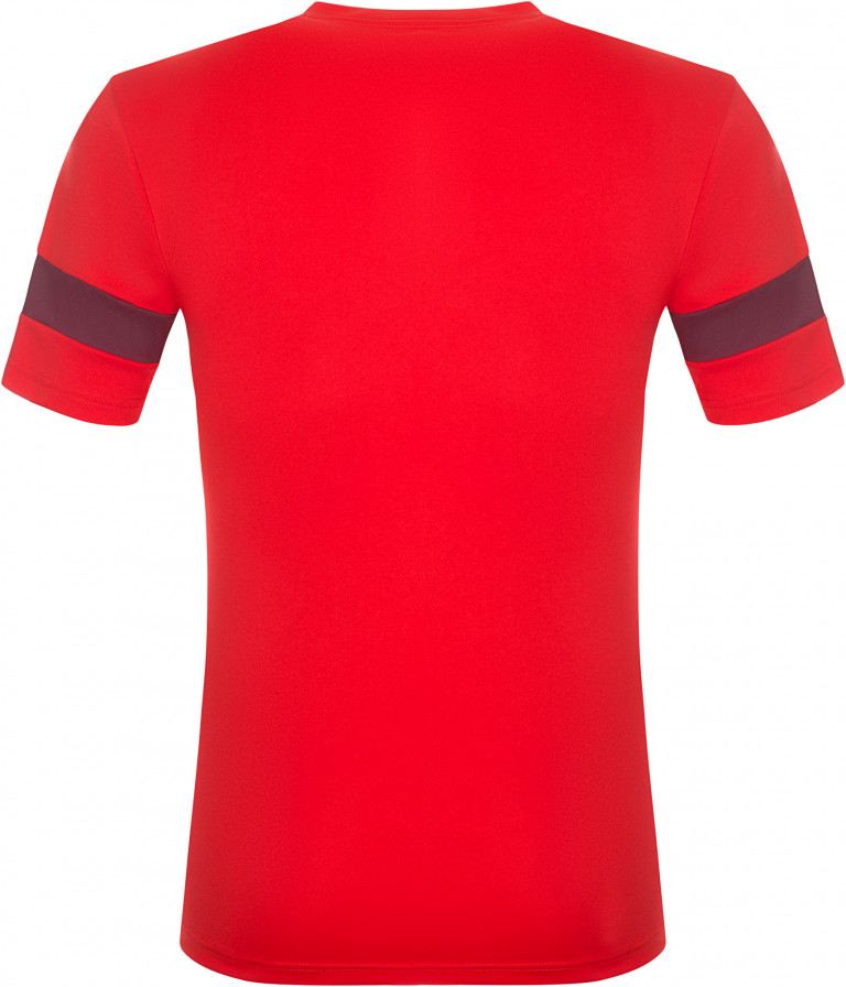 Футболка мужская PUMA