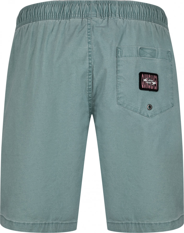 Шорты мужские Quiksilver Taxer