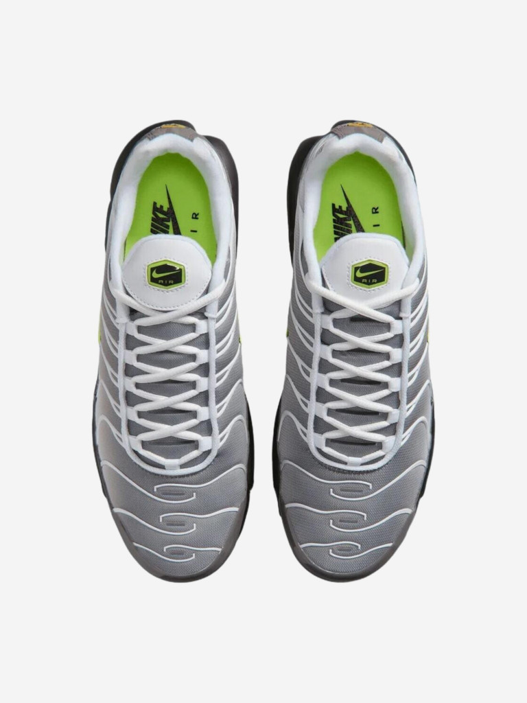 Кроссовки мужские Nike Air Max Plus