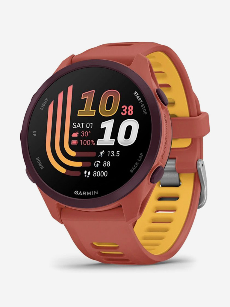 Спортивные часы GARMIN Forerunner 170 Music