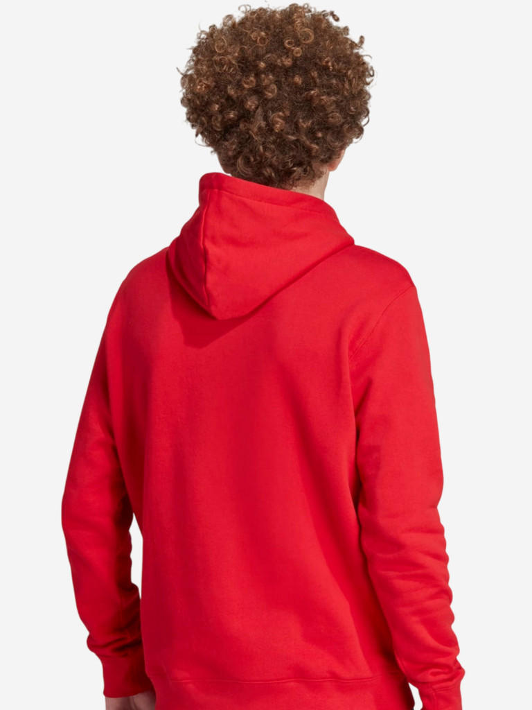 Толстовка мужская Adidas Trefoil Hoody
