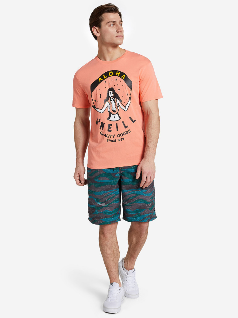 Футболка мужская O'Neill Aloha