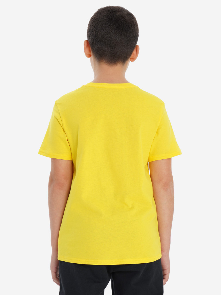 Футболка для мальчиков GSD