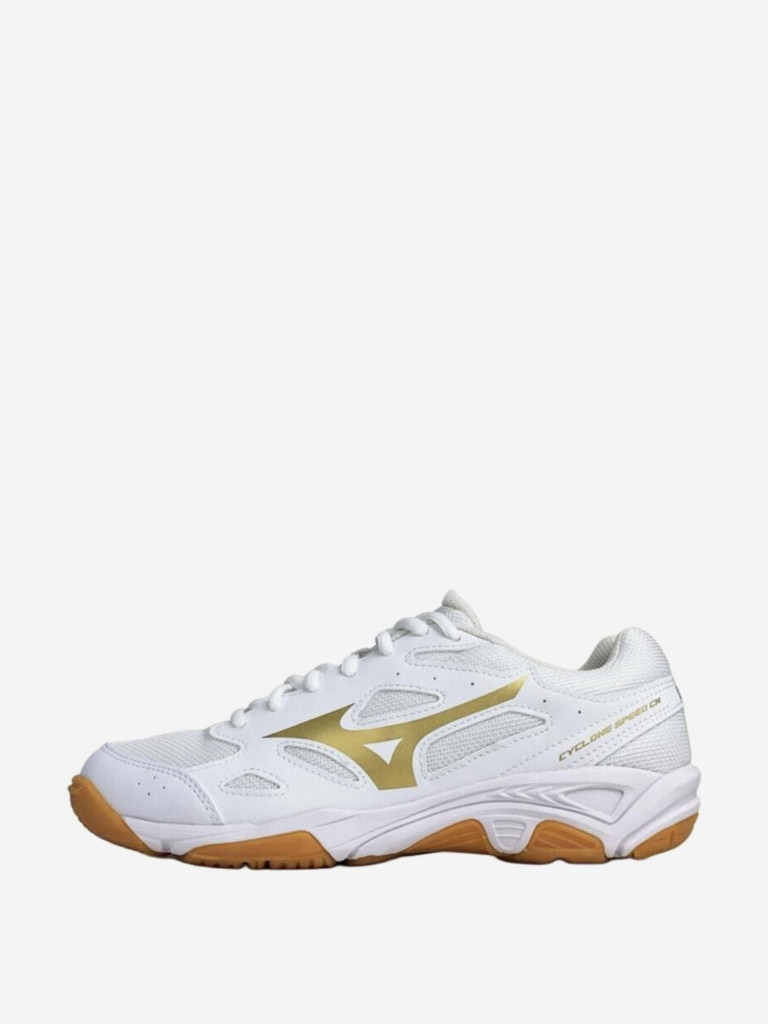 Кроссовки мужские Mizuno Cyclone Speed