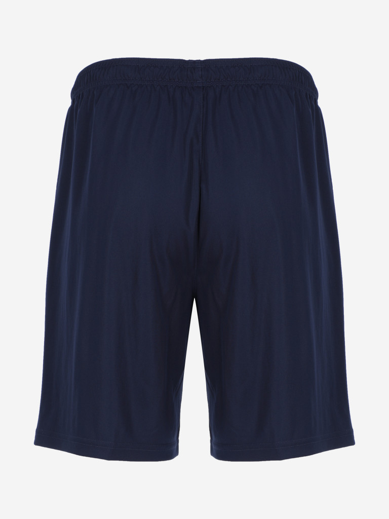 Шорты мужские PUMA Team Liga