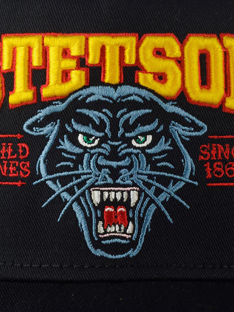 Бейсболка с сеточкой STETSON 7761118 TRUCKER CAP WILD ONES (черный)