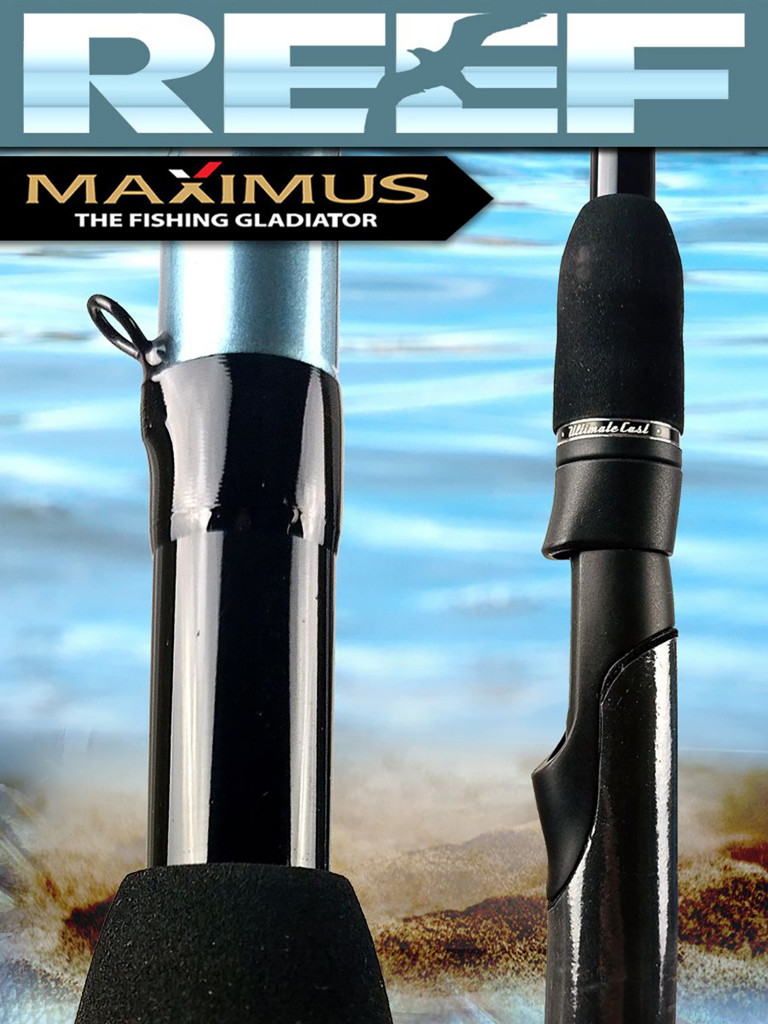 Спиннинг для рыбалки Maximus REEF 393MH 3,9 м 17-50 g