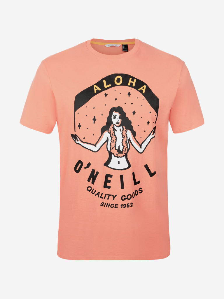 Футболка мужская O'Neill Aloha