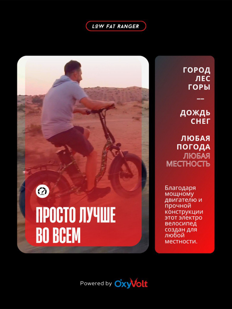 Электровелосипед OxyVolt "Low Fat Ranger" 750Вт, 48В, 20Ач, гидравлика, фэтбайк, складной, 20 дюймов, графит