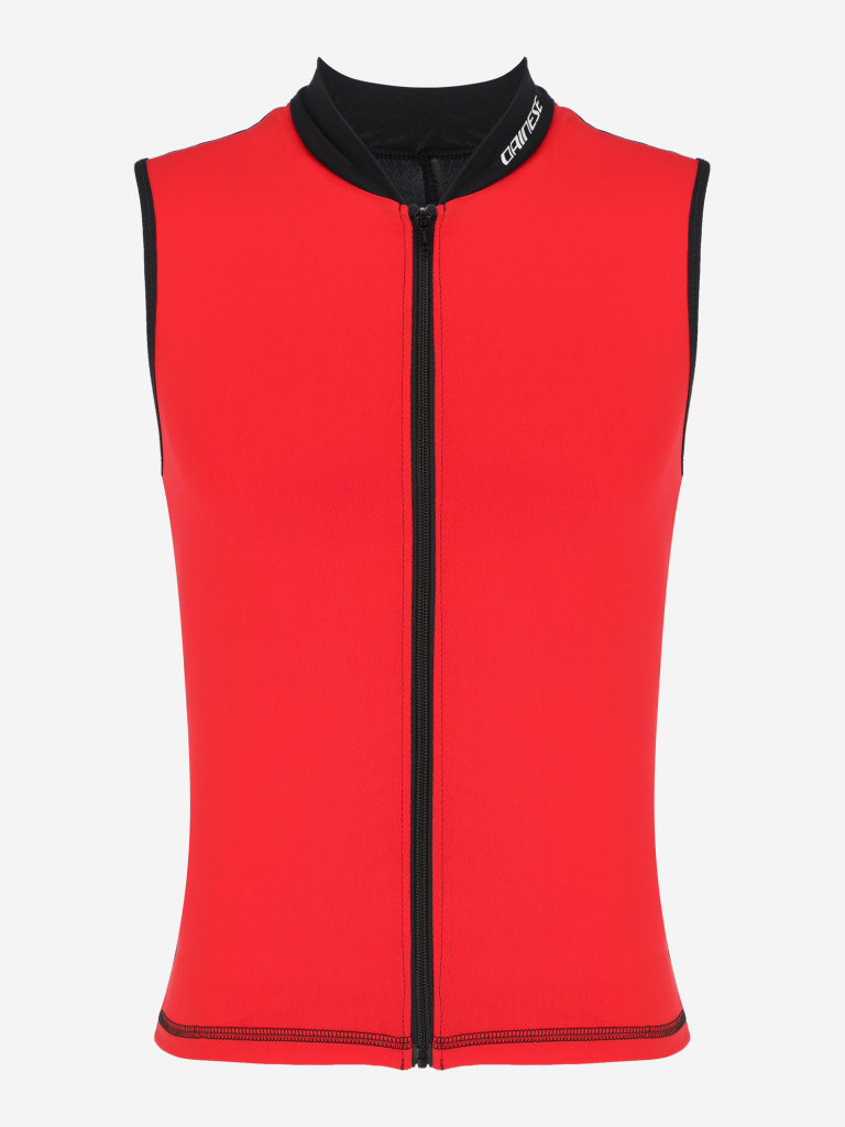 Защита спины Dainese Auxagon