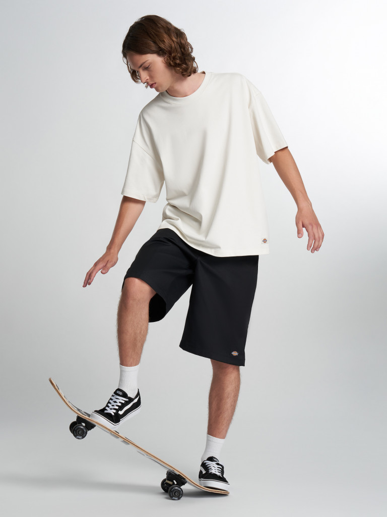 Шорты мужские DICKIES 13 In Mlt Pkt W/St