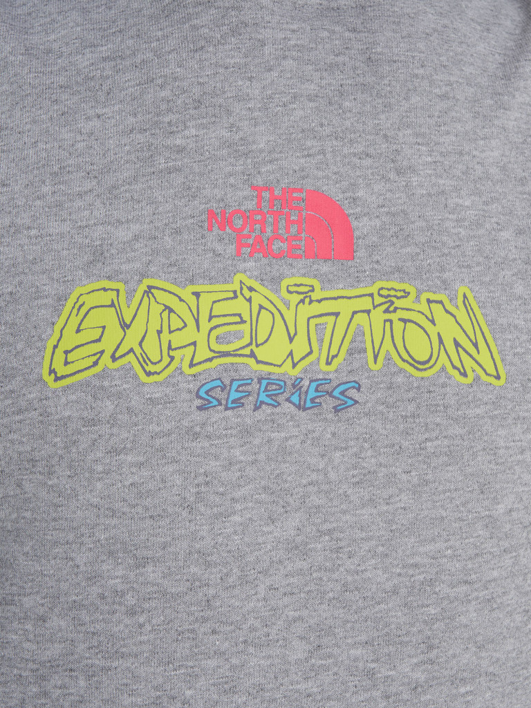 Худи мужское The North Face Expedition Celebration