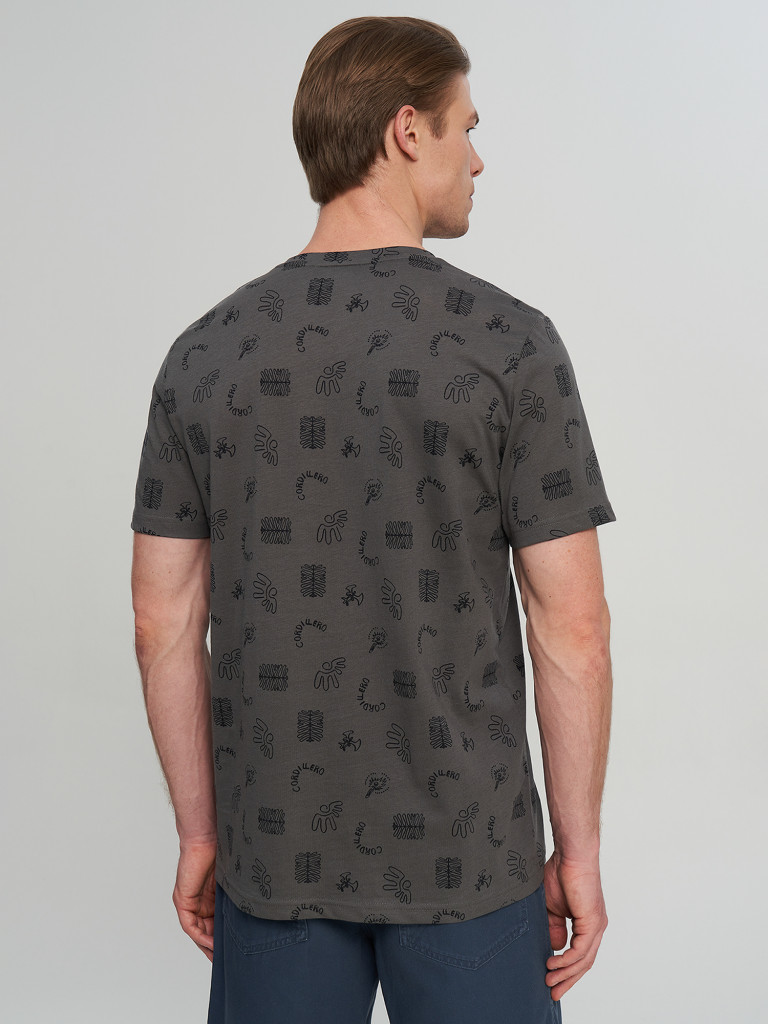 Футболка мужская Cordillero