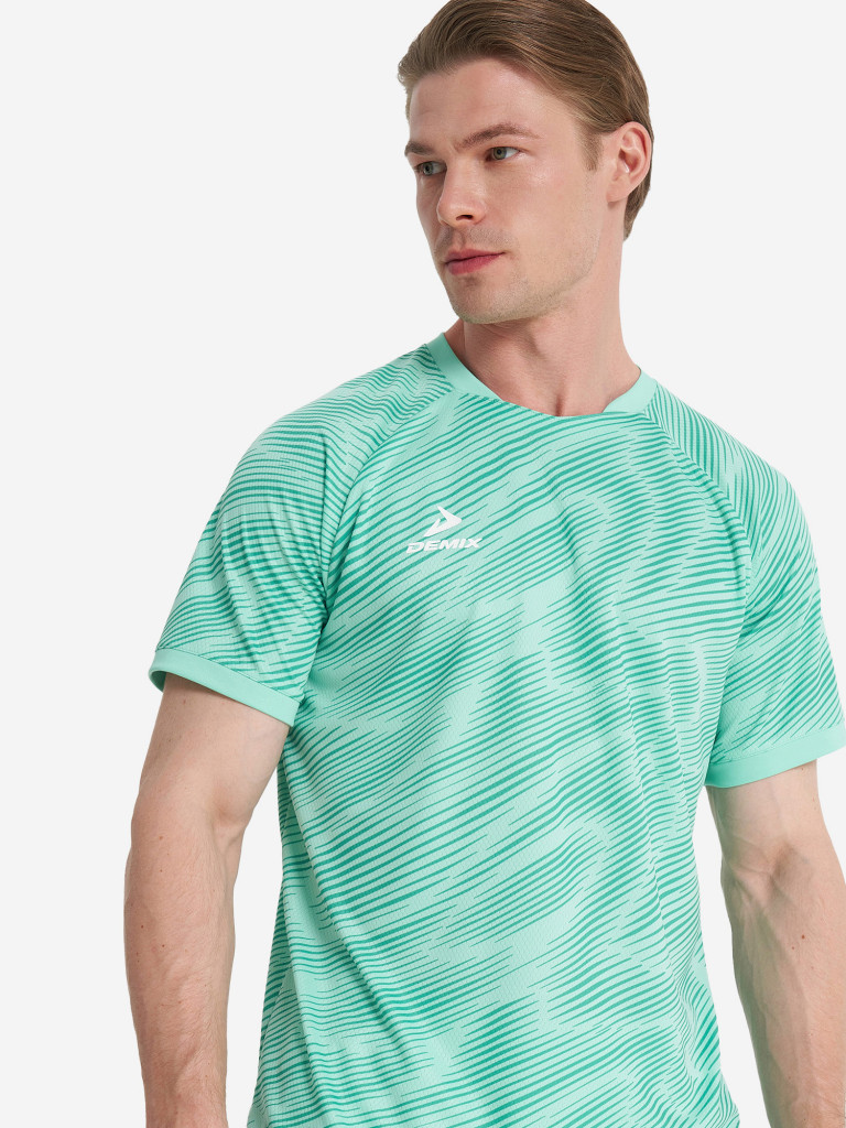 Футболка мужская Demix Winger