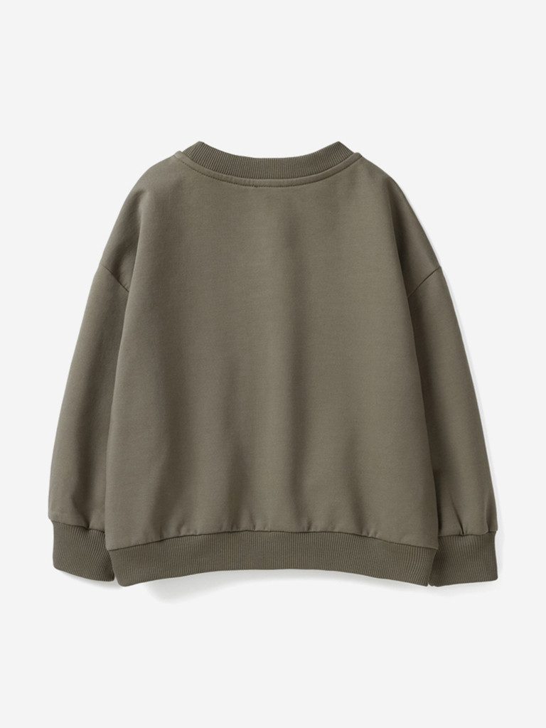 Свитшот для мальчиков Artie