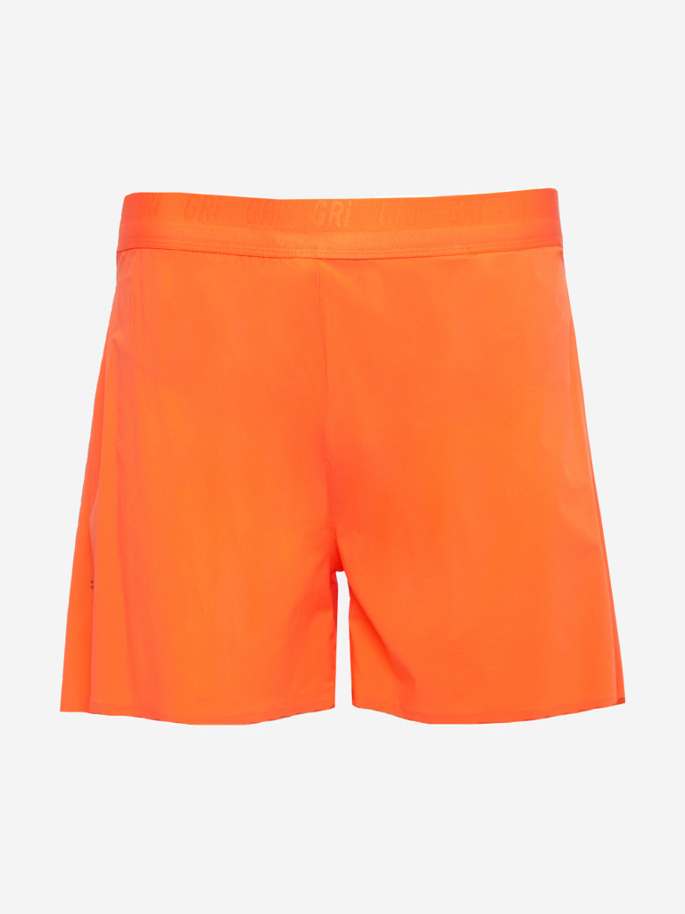 Шорты мужские GRI Лето 5.0