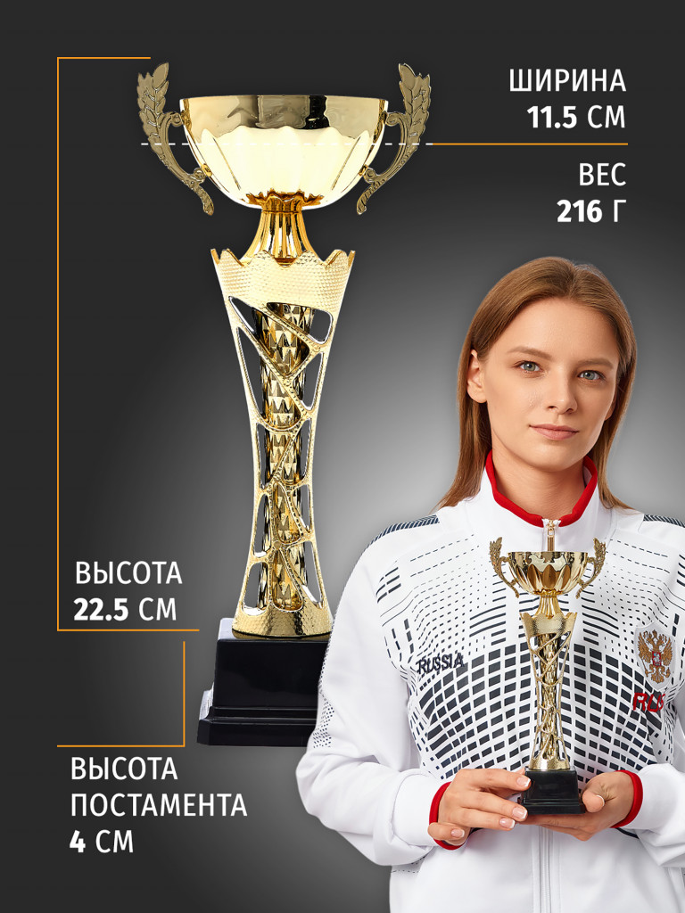 Спортивный кубок для награждения победителя 26.5 см