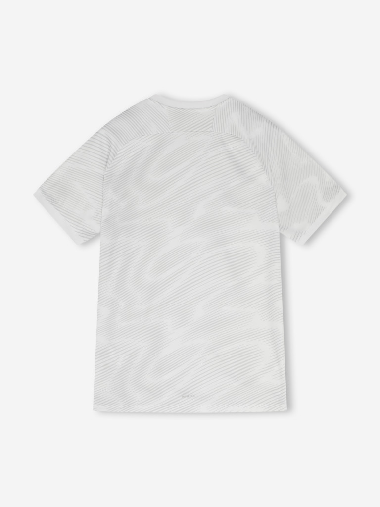 Футболка мужская Demix Winger