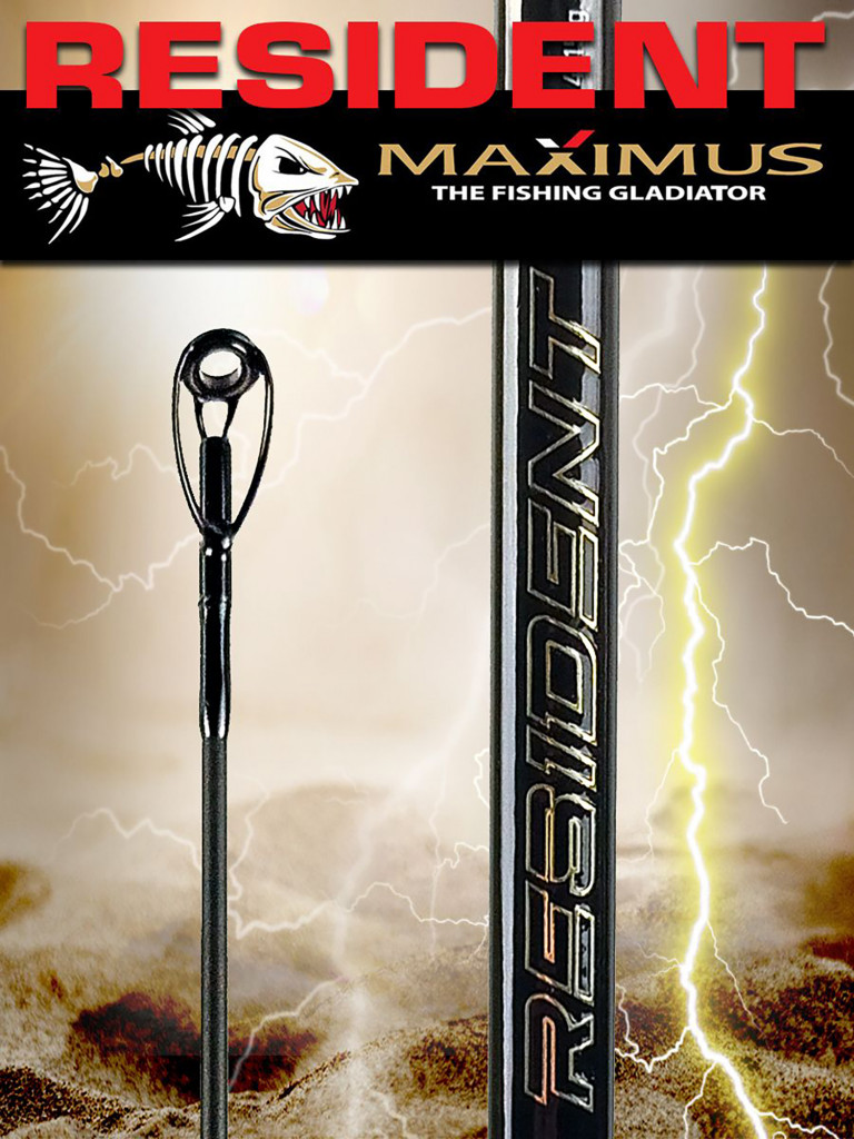 Спиннинг для рыбалки Maximus RESIDENT 27H 2,7m 20-60g