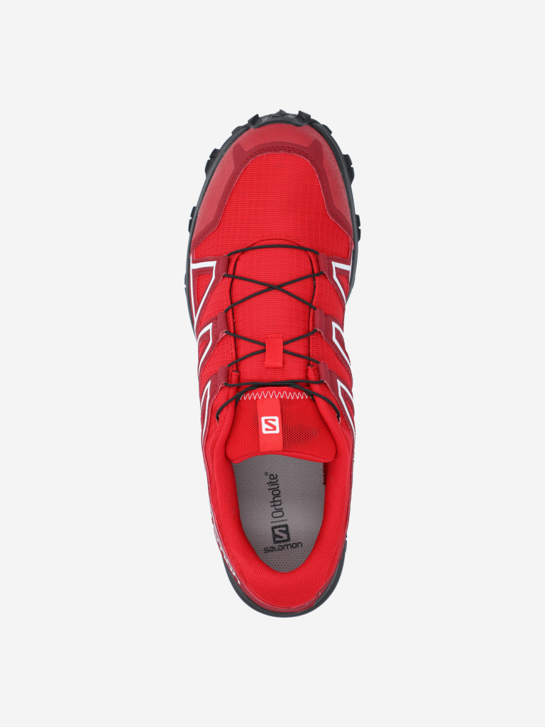 Кроссовки мужские Salomon Alkalin Trail