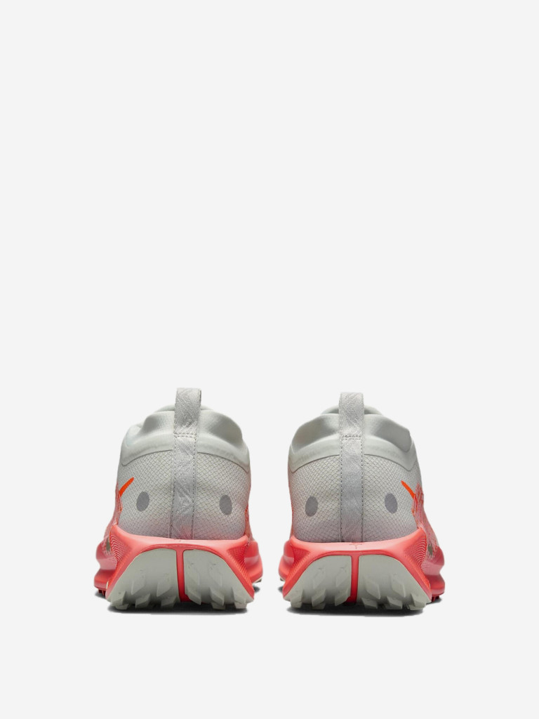 Кроссовки Nike Pegasus Trail 5