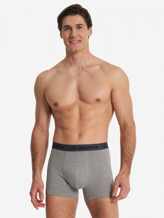 Трусы мужские Demix, 2 штуки