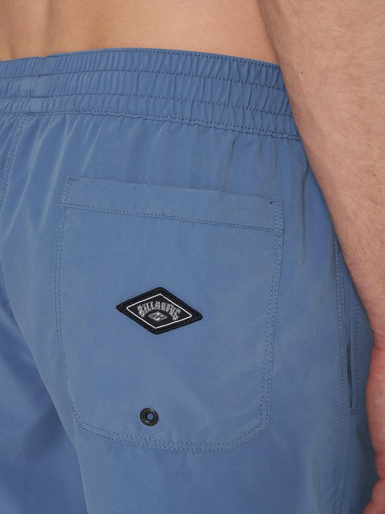 Шорты плавательные мужские Billabong All Day Heritage