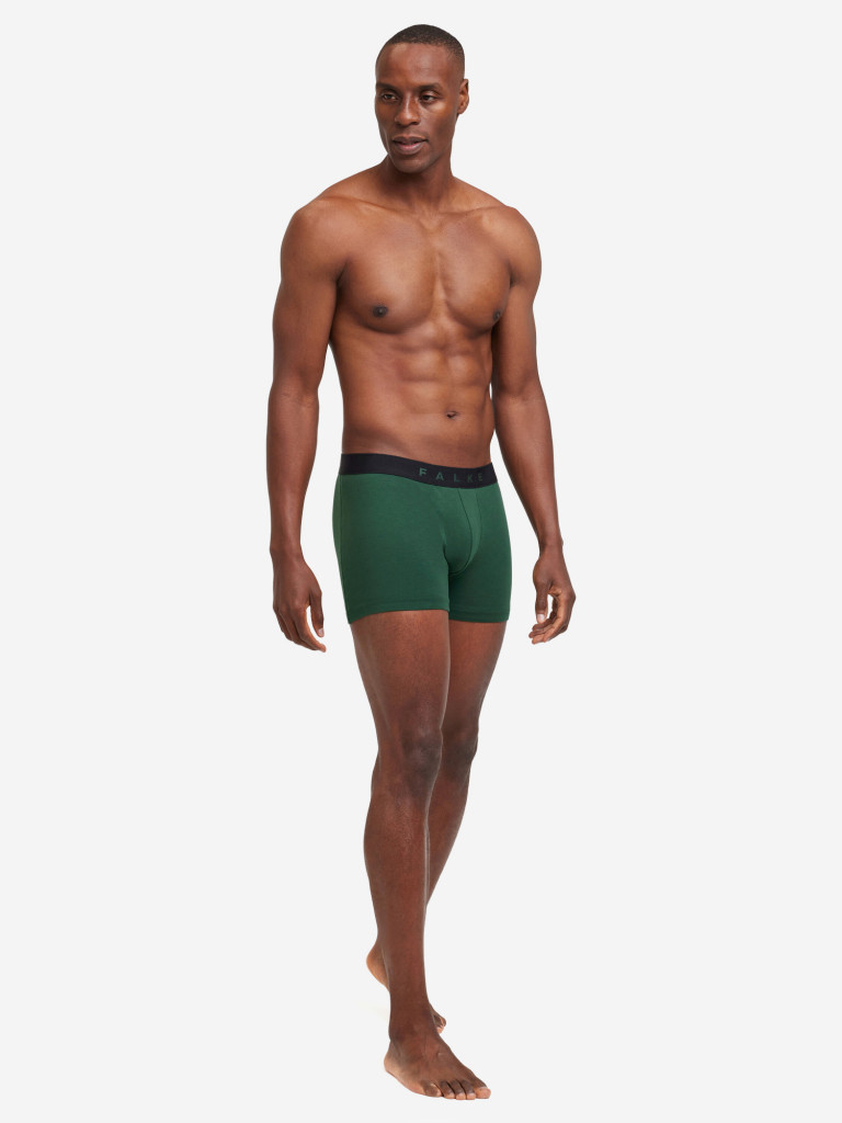 Набор мужских трусов FALKE