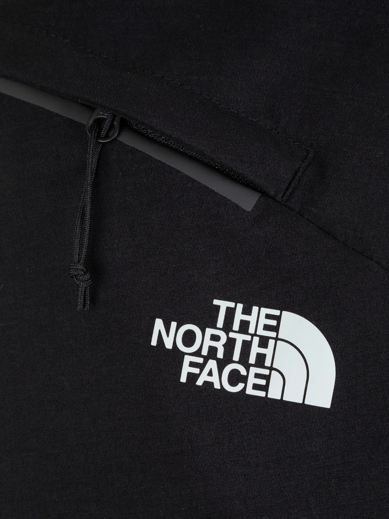 Брюки мужские The North Face Apex