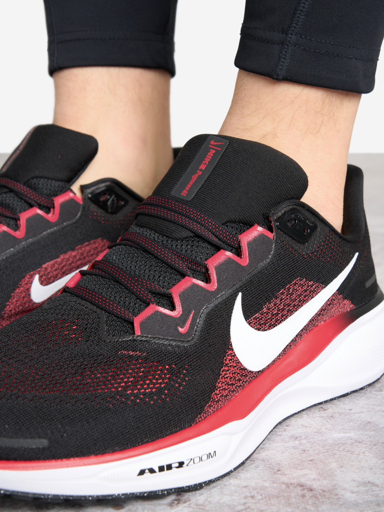 Кроссовки мужские Nike Pegasus 41