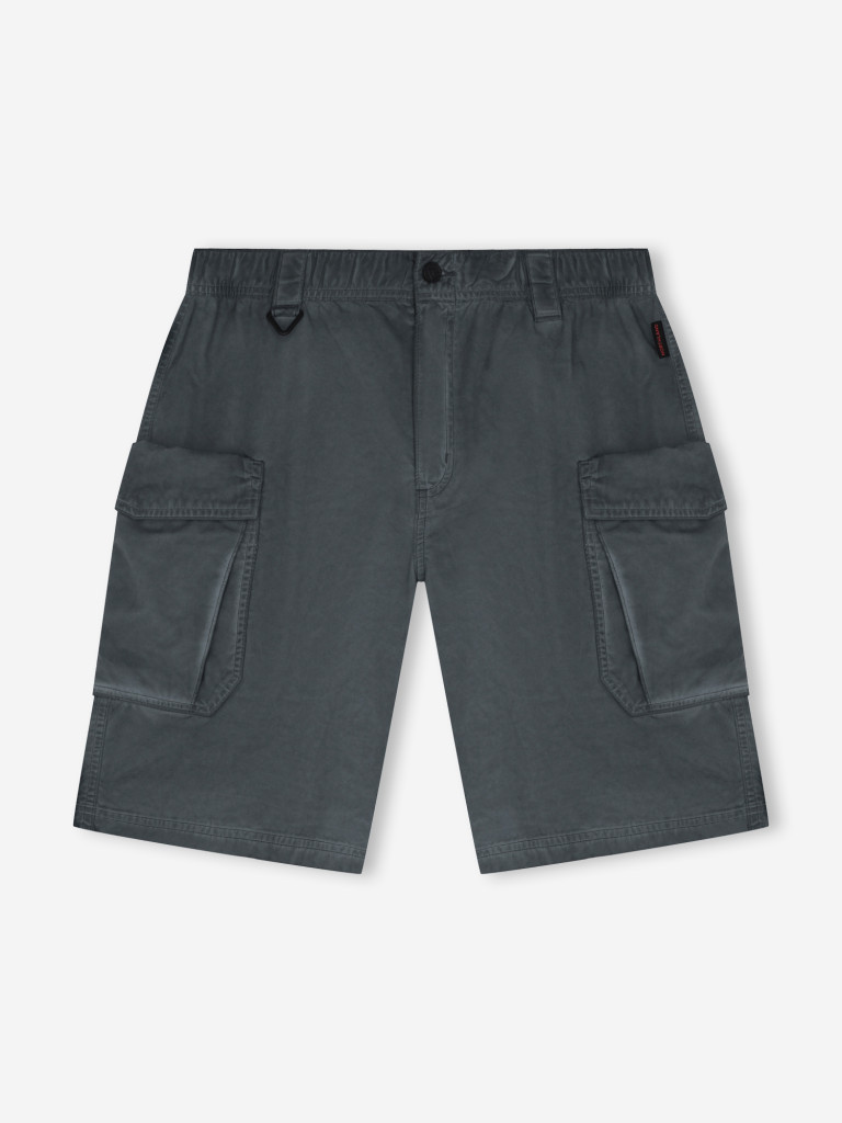 Шорты мужские Northland