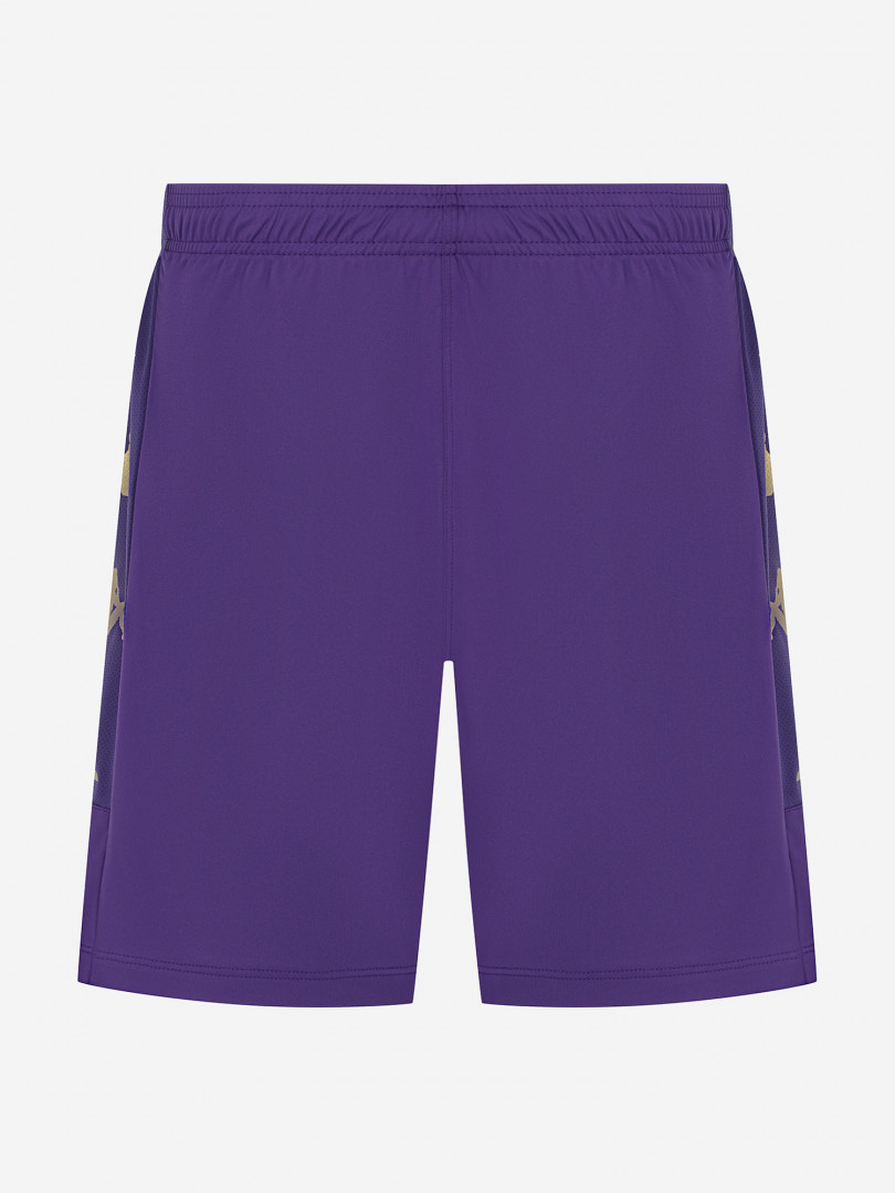Шорты мужские Kappa Фиолетовый 1899₽