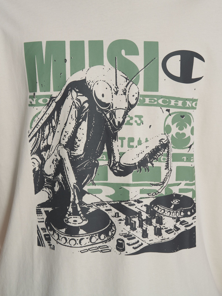 Футболка мужская Champion