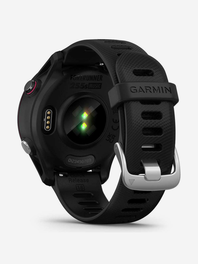 Спортивные часы Garmin Forerunner 255S Music с черным ремешком