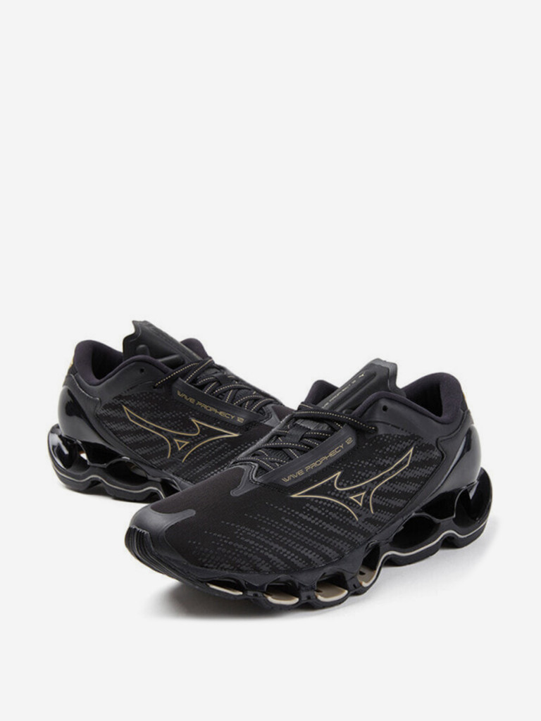 Кроссовки Mizuno Wave Prophecy 12