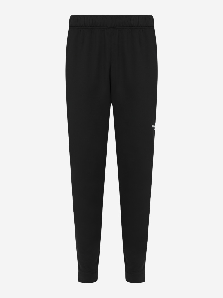 Брюки флисовые мужские The North Face Reaxion