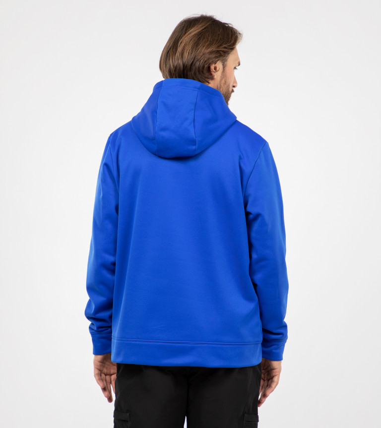 Худи мужское The North Face Surgent