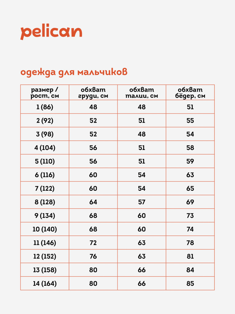 Толстовка, худи для мальчиков Pelican