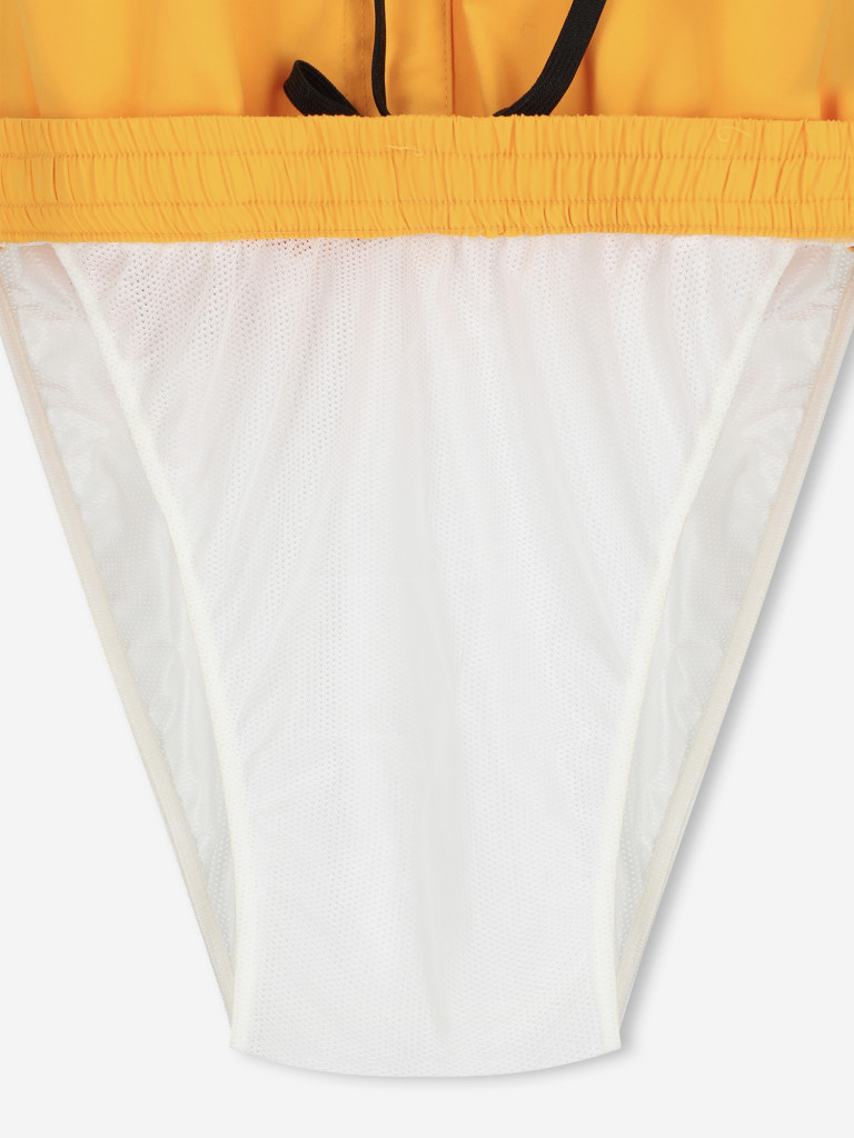 Шорты плавательные мужские Quiksilver Everyday Volley 15