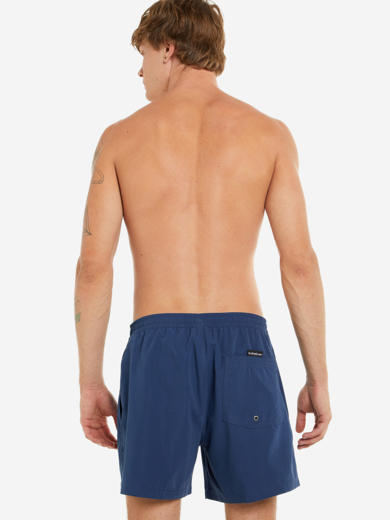 Шорты пляжные мужские Quiksilver Sun Stroke Volley