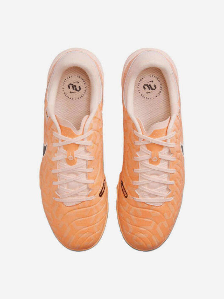 Сороконожки Nike Legend 10 Academy TF