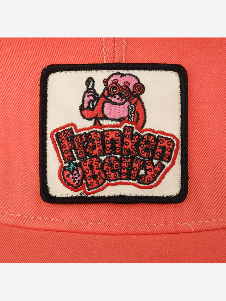 Бейсболка с сеточкой AMERICAN NEEDLE 22005A-FBERRY Franken Berry Twill Valin