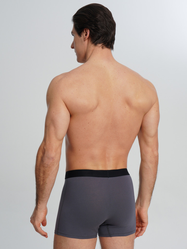 Трусы мужские Demix, 3 штуки