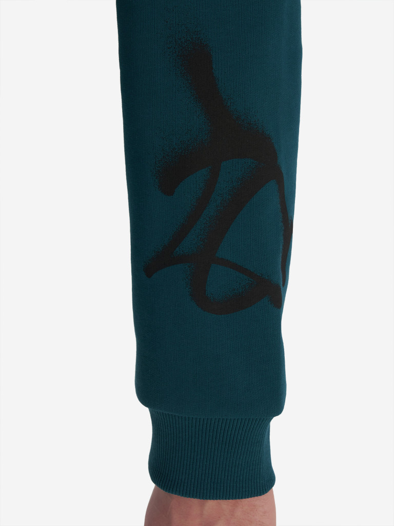 Худи мужское Termit