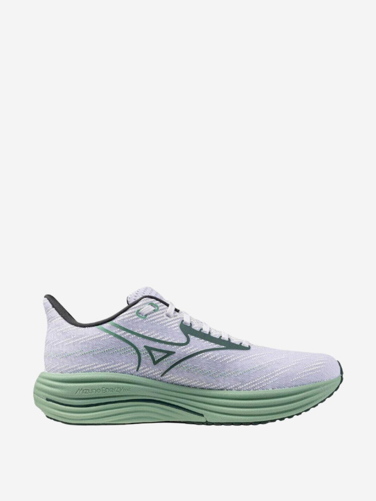 Кроссовки мужские Mizuno Wave Rider 29