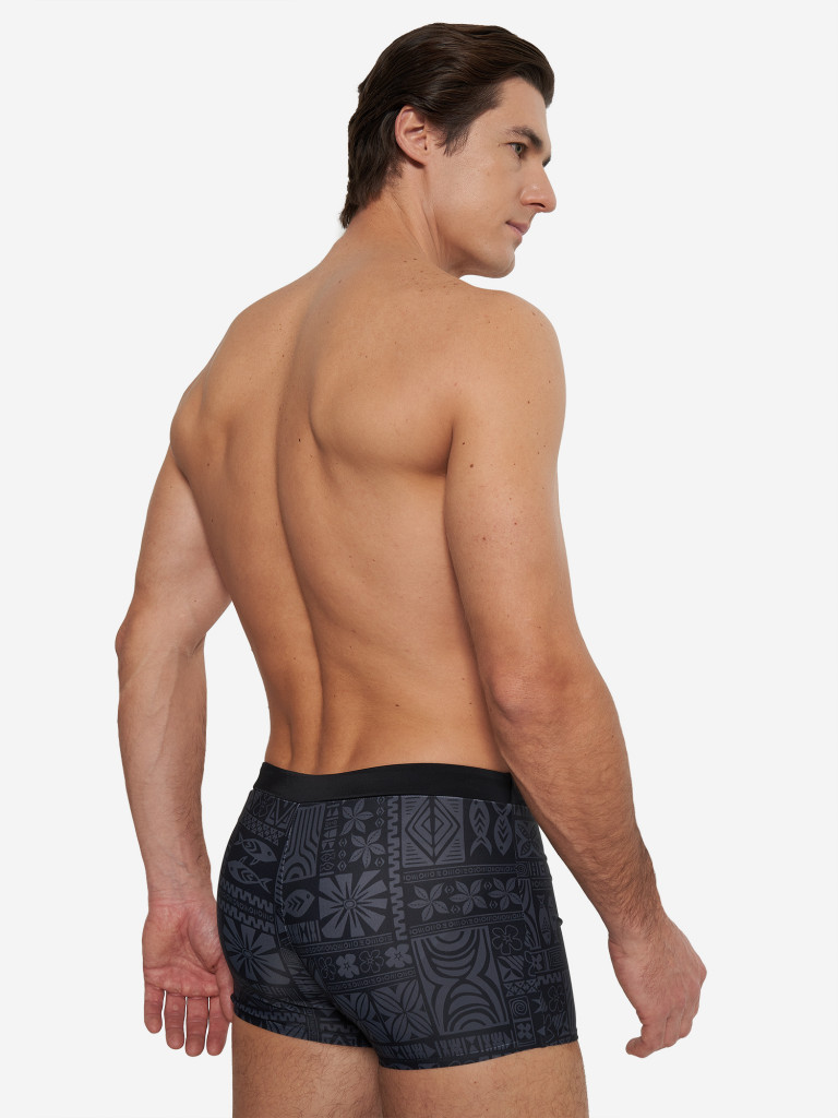 Плавки-шорты мужские Speedo Valmilton Alov