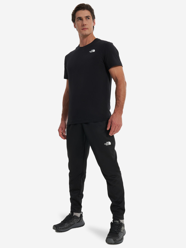 Брюки флисовые мужские The North Face Reaxion