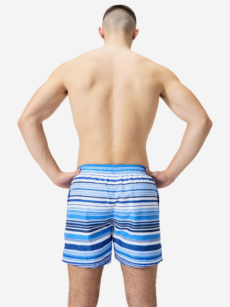 Шорты плавательные мужские Speedo