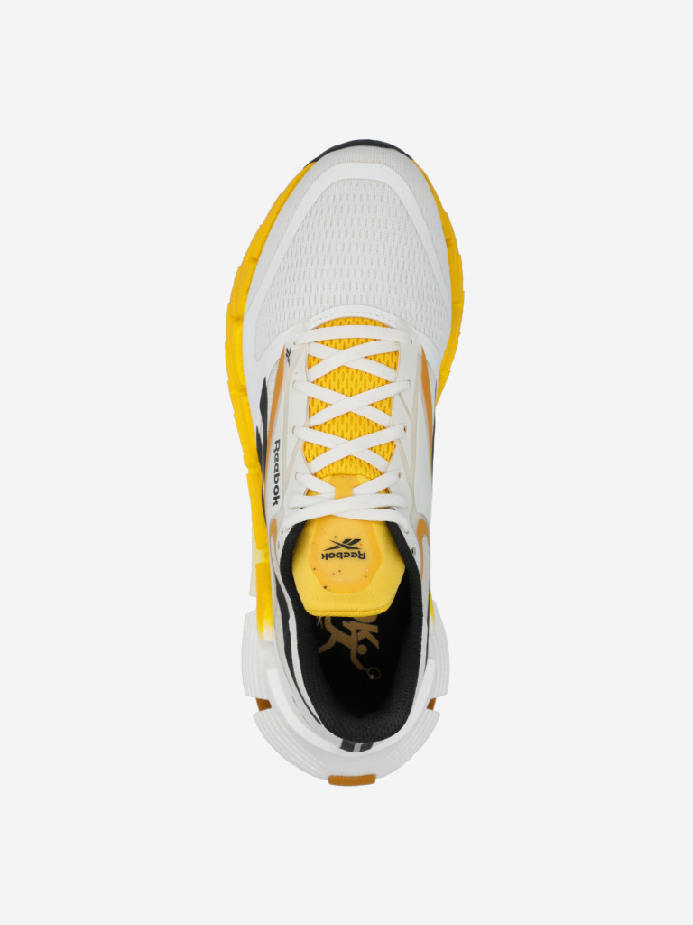 Кроссовки мужские Reebok Floatzig 1