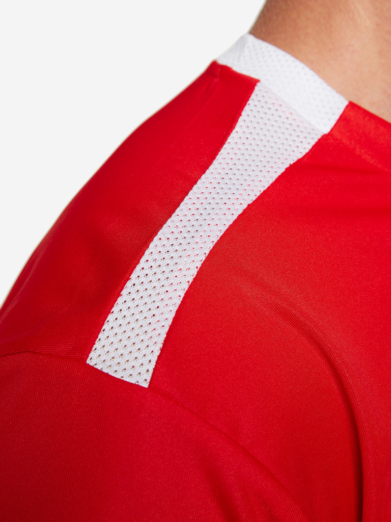 Футболка мужская PUMA Team Liga